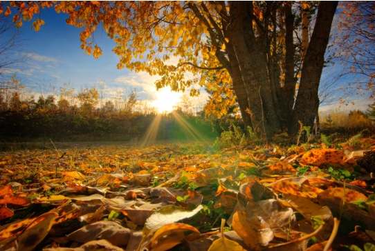 Visit Finland in Autumn