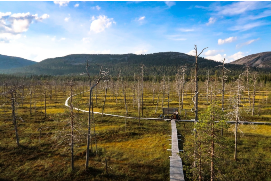 Pyhätunturi National Park