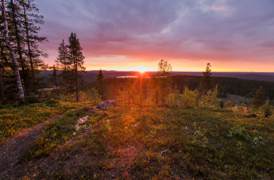 Ounasvaara Hill